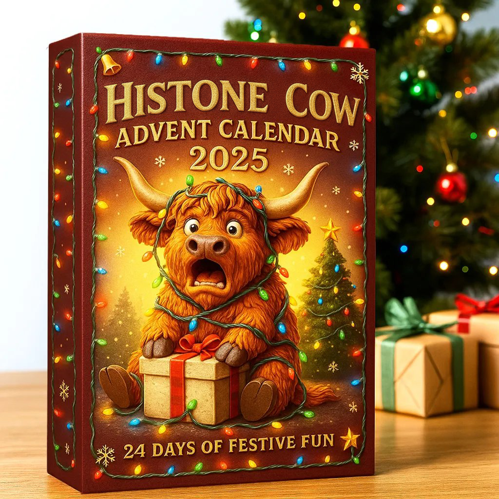 🎁Nice Christmas Gift🎅🐮Histone Cow Advent Calendar 2025